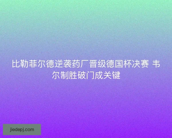 比勒菲尔德逆袭药厂晋级德国杯决赛 韦尔制胜破门成关键